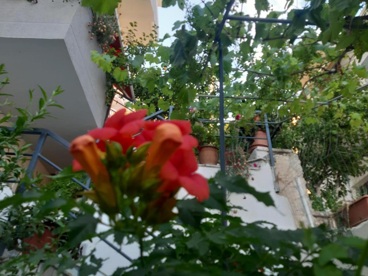 Mane Apartments Saranda Kültér fotó