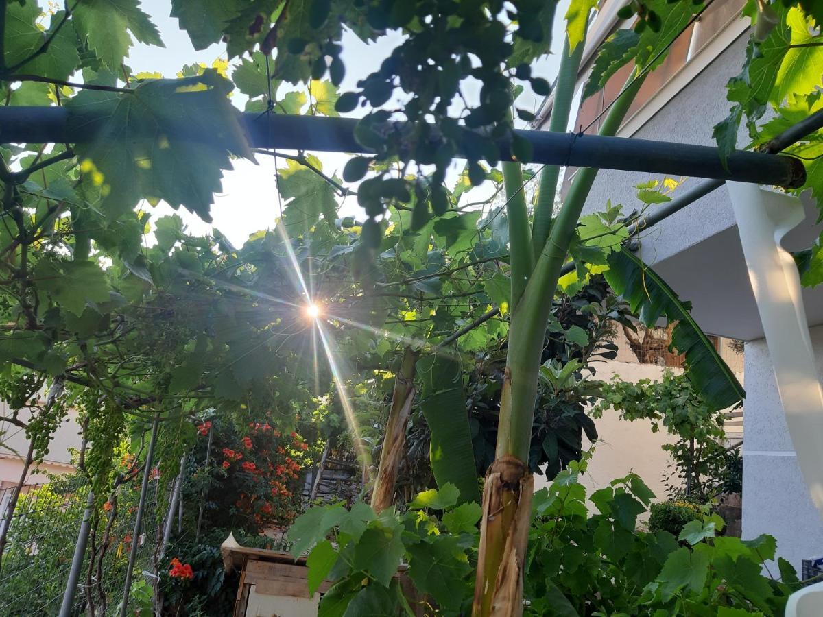 Mane Apartments Saranda Kültér fotó