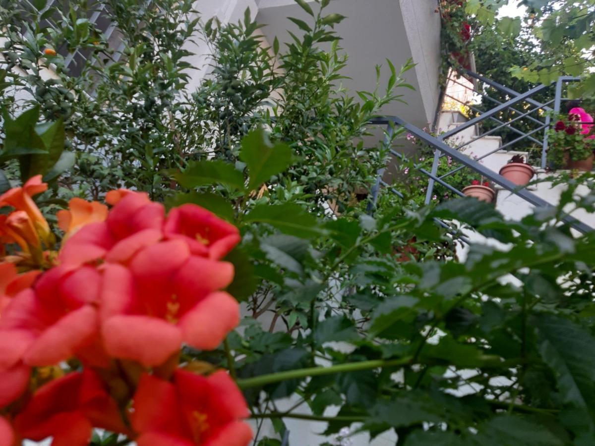 Mane Apartments Saranda Kültér fotó